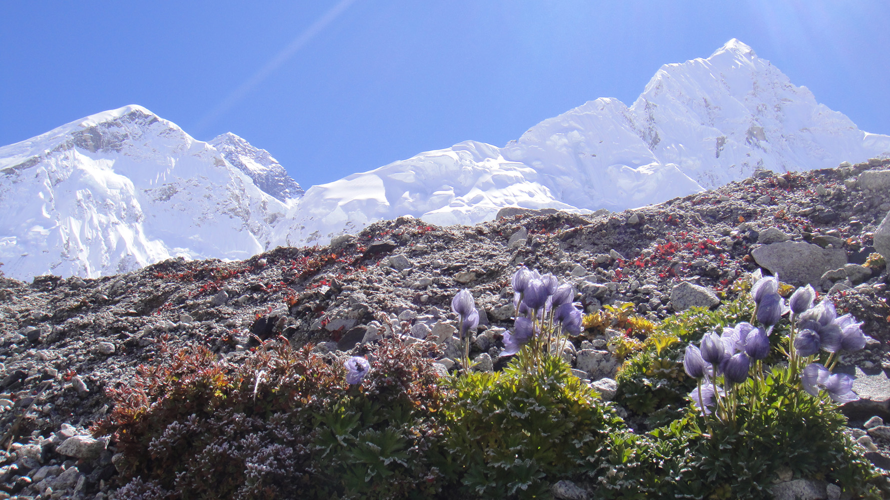 Gokyo Chola Pass Lobuche Peak Climbing